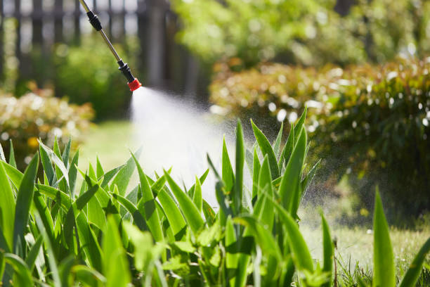 24/7 Emergency Mosquito Control experts in Hoover, AL