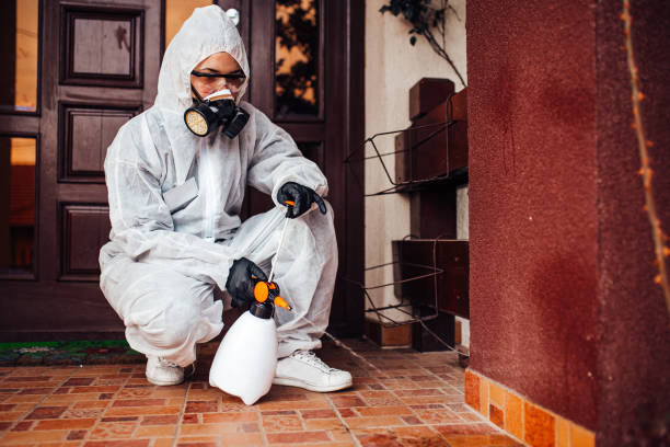 Reliable Mosquito Control contractor in Hoover, AL by Show Me Pest Control