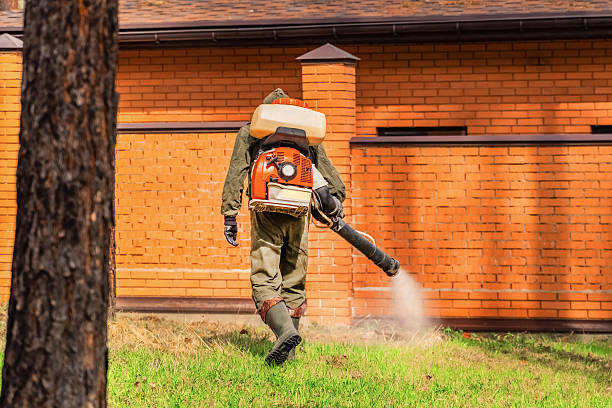 Top rated local Mosquito Control specialists in Hoover, AL